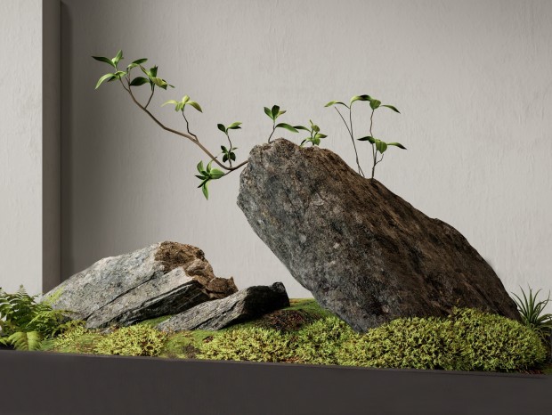 ����ʯͷ ��ɽʯͷ ֲ��� ���� ͥԺ�쾰 �����쾰 ֲ���쾰