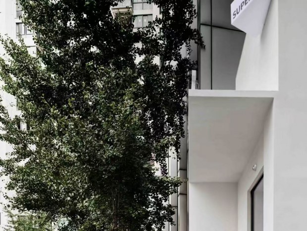 SUPER GREAT / ��ȼ�����ݣ����)