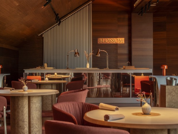 Lago Interioriza | Blossom�����ֲ���ݲ�����