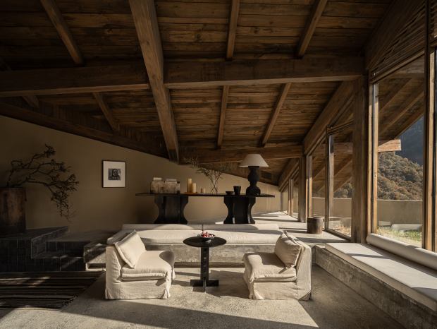 ��͢��ơ�������ƣ�ӽ�鴨��կ�ȼپƵ꣡