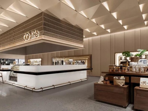  |   CO-Lifeݣһɽһ̻˼