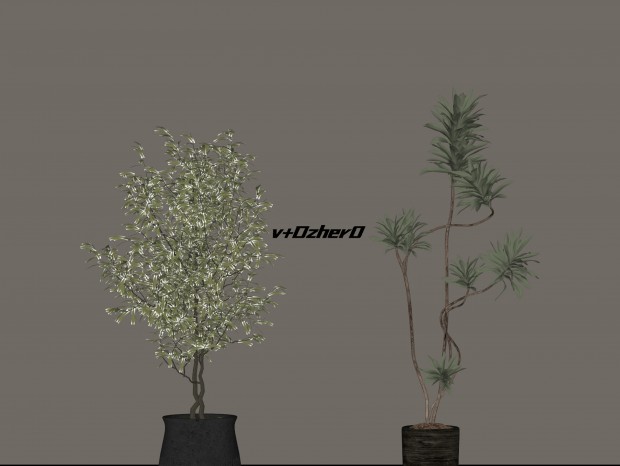 ֲִ