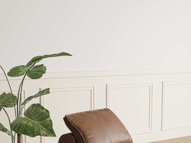 ִƤɳ ɳ  ֲ ̺ ľذ 