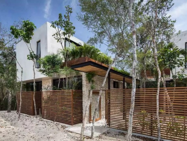 ����||ɭϵ��լ