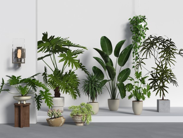 ��ֲ���� �辰 ���� ���� �ڵ�