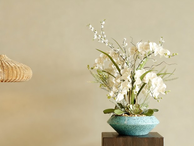 ����ʽ����