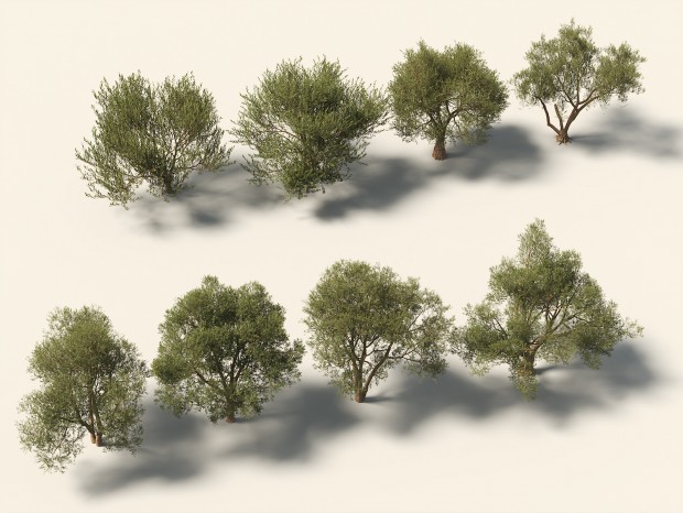 �ִ� �� ��������� ֲ��������������