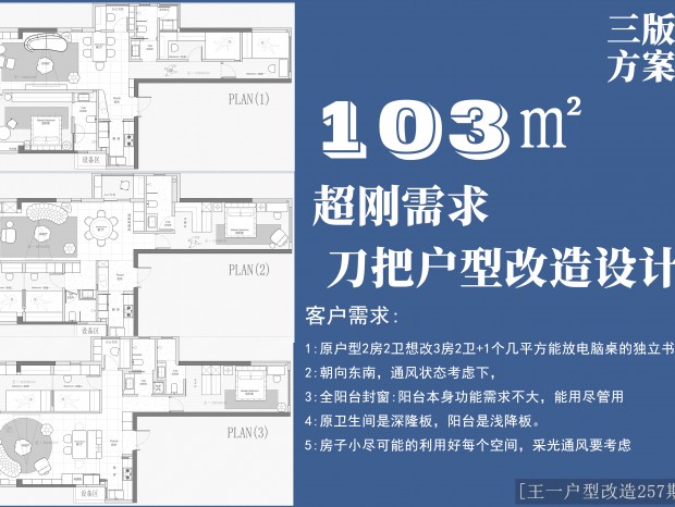 (һ͸257)103O淽