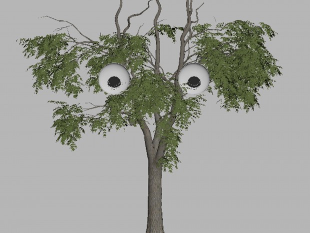 ִᶯ۾ װõ ת 
