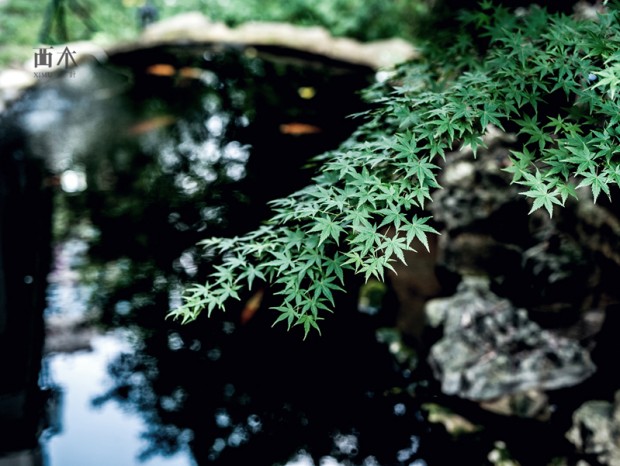 XIMU DESIGN.| �����˼��̻�