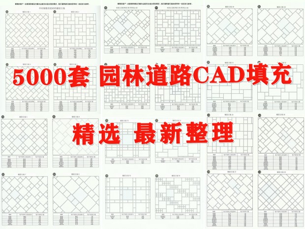 ԰ֵ·ͼCAD ͼCAD CAD ۽ͼCAD