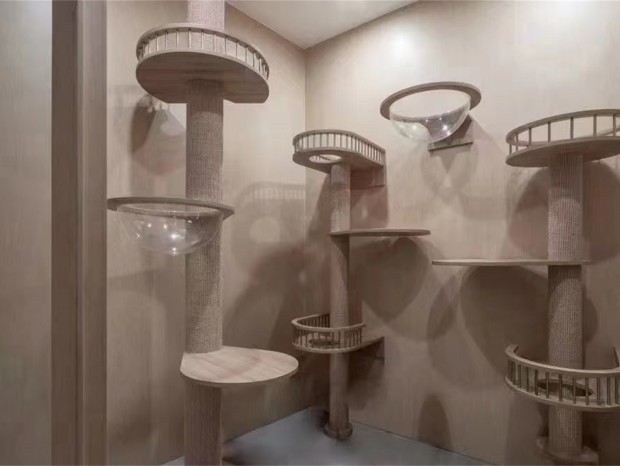 �������ݡ���è��