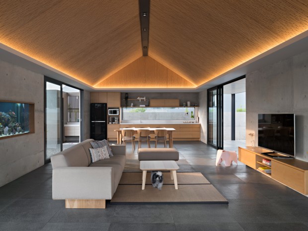 Pranala Associates | 462�O���������