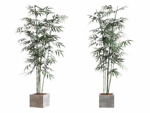 ִ ֲ辰԰ڼ ֲװΰڼ ֦԰ڼ ջ