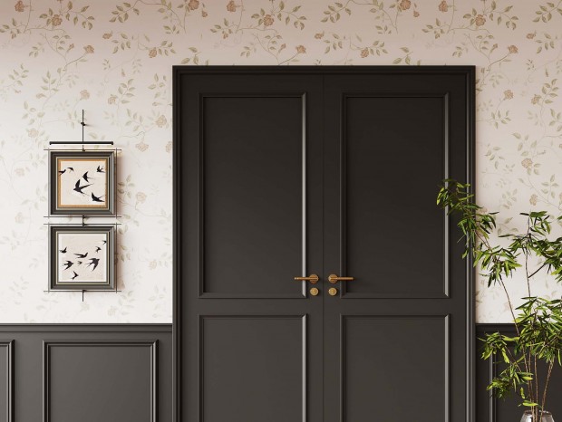 ��ʽ˫����