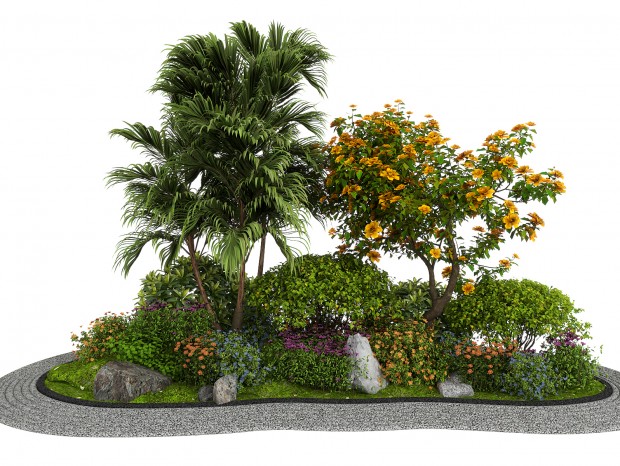 ��ľ ���� ֲ��� ������� ���Թ�ľ �¼���