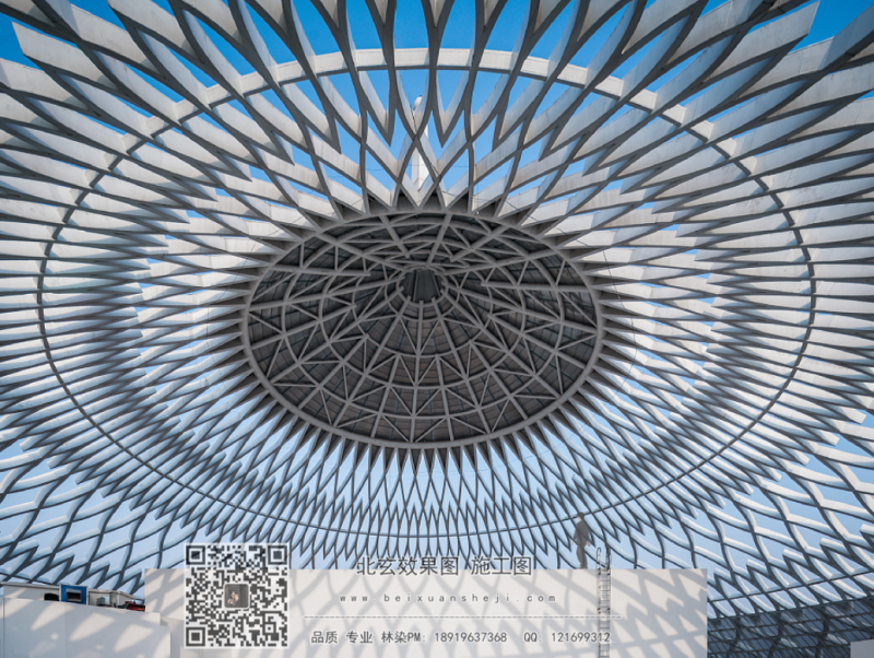 ����������Ժ