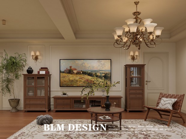 ��ʽ�йš���������Ч��ͼ