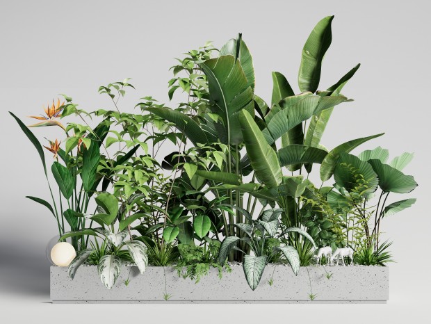 现代植物组合 室内植物造景 绿植花箱 花坛花钵