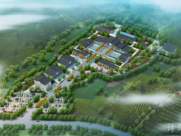 ����͸��+���