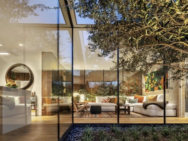 Specht Novak | żƣȴ¶