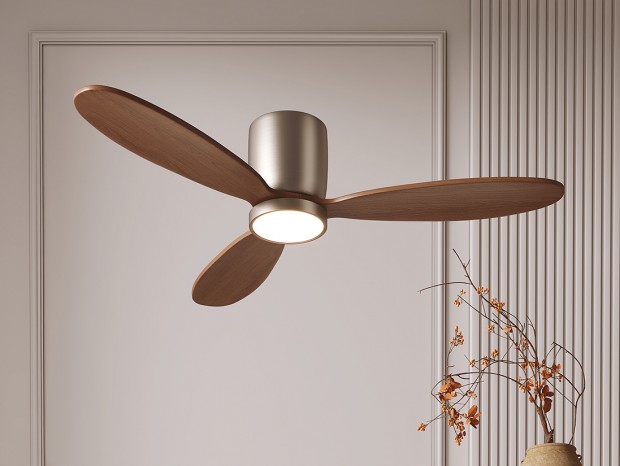 �йŷ���ȵ� ���ȵ�