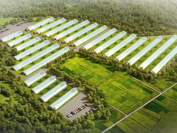 �������Ч��ͼ����