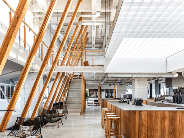 ������Ⱦ��Ʒ