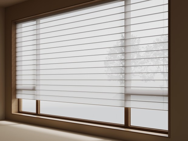 �ִ���������� ����