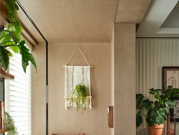 ��Ԣ ̽������ĸ������