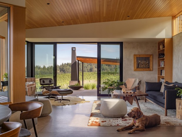 Prentiss + Balance | Big Fir Vineyard