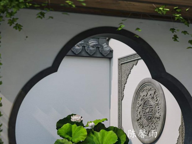 ��ʽ�Խ���ͥԺ