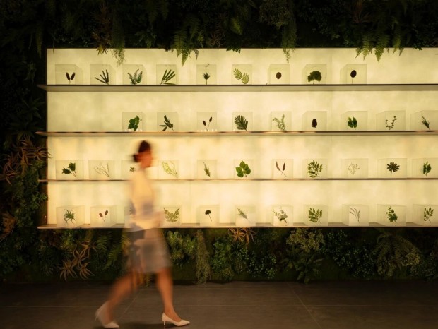 QYD��Ԫ | ��ԣ�ɭ��ů��