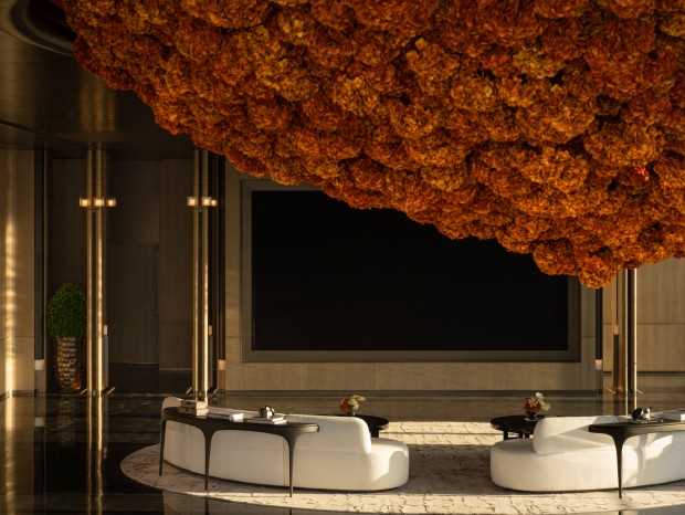 EGD���ح����CBD�ƶ˻�����