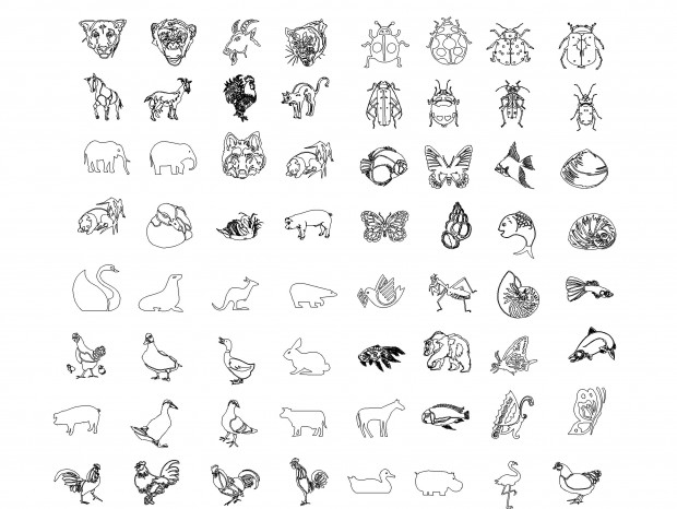 ���㺣��������޶���ͼ��