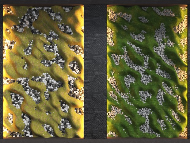 ִ΢