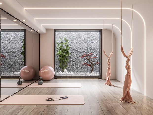 现代健身房 健身器械 瑜伽垫 瑜伽球 镜子 反重力吊床