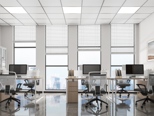 ������ѯ��