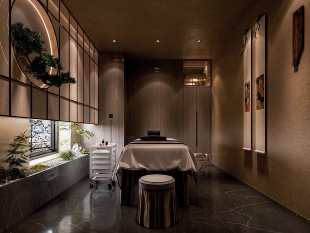 ����ʽSPA����