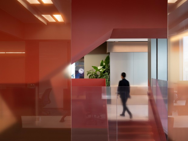��ʨ���� Publicis Groupe �й��ܲ� | Ippolito Fleitz Group