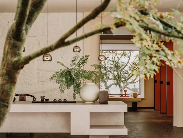 ������� | ����Ȼ�������ּ������