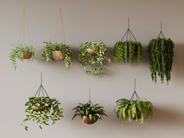 �������� ����