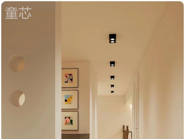 ��ʽ���� || �˼��ɫ