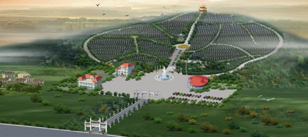 ��Ĺ�滮��ư������ͼ