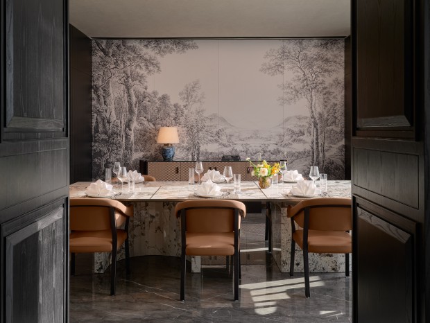 CCD���-���������޼ʾƵ� ��PPT�������