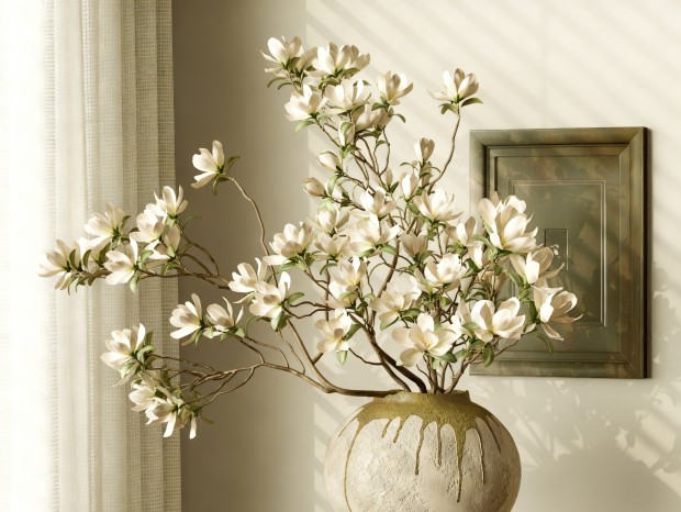 ���ŷ绨�հڼ� �չ޻�ƿ ������ �ʻ����� �����廨