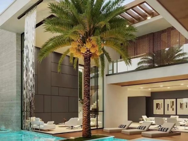 �������ح�ִ���Լ�Խ�����