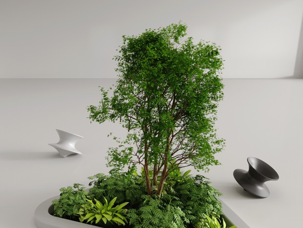 ִ԰СƷ 쾰 ͥԺСƷ  ֲ