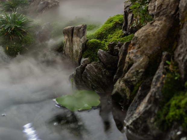 ����ά��ƣ����� �� ��԰