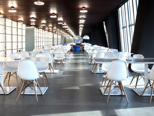 ����ʳ�ò���